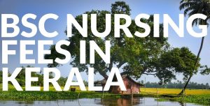 BSc Nursing Fees in Kerala in Private Nursing Colleges 2024-2025