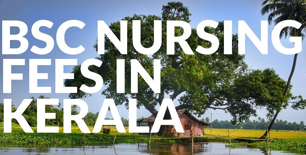 BSc Nursing Fees in Kerala